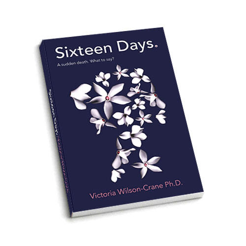 Sixteen Days book