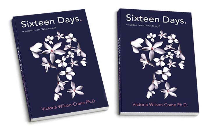Sixteen Days book