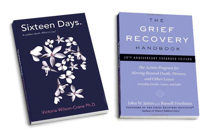 Sixteen Days book